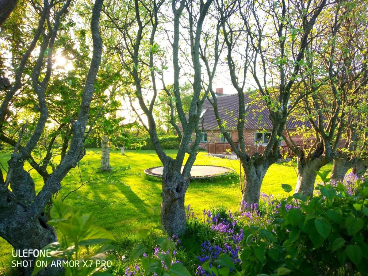 Lilleledgaard Country House Ringkøbing Buitenkant foto