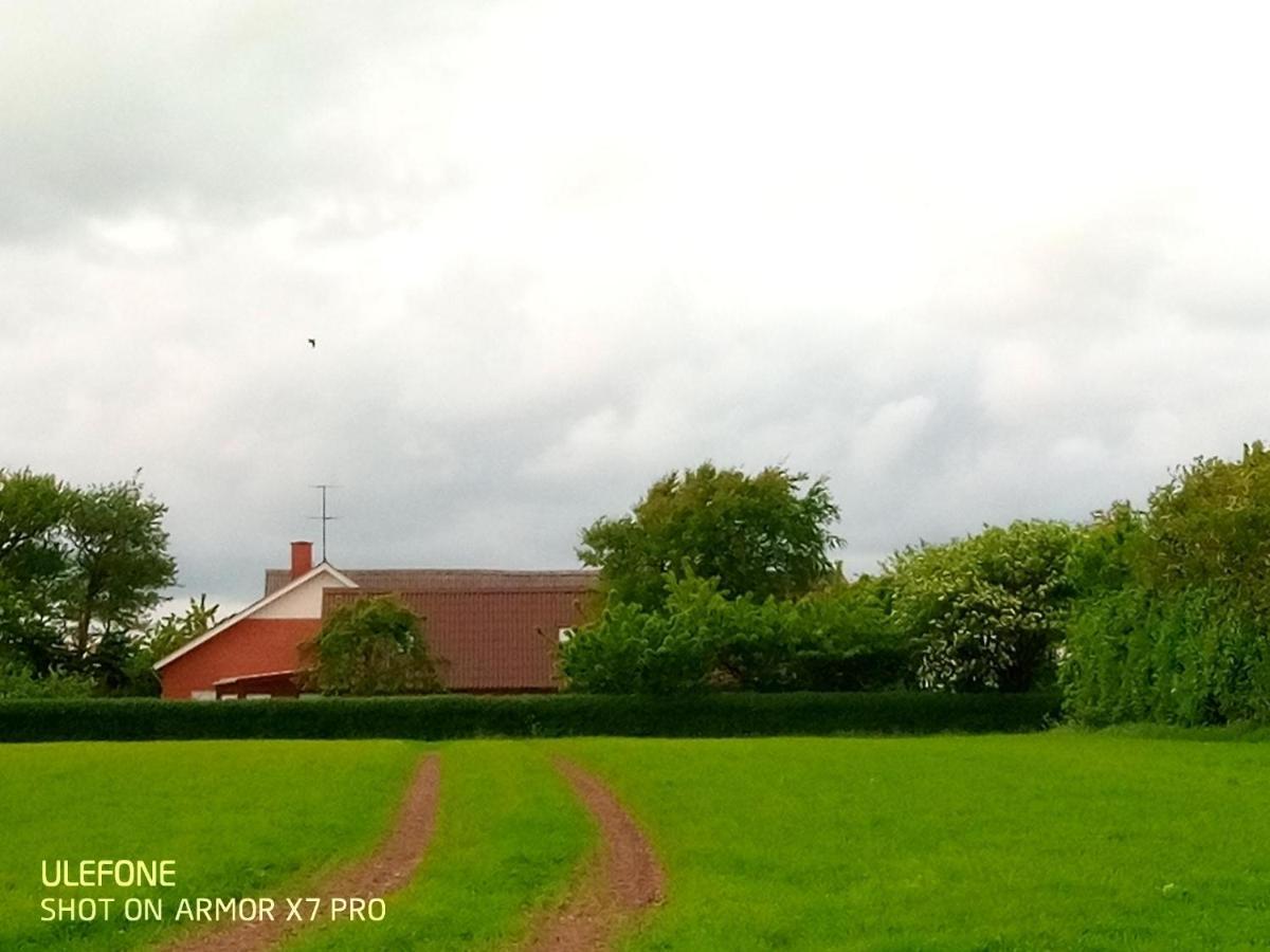 Lilleledgaard Country House Ringkøbing Buitenkant foto